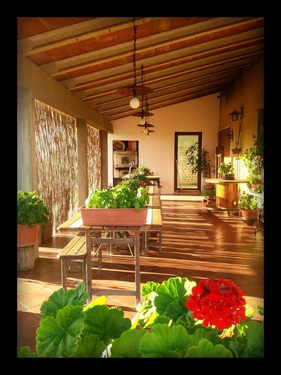 Agriturismo San Giusto Montiano  Exterior photo