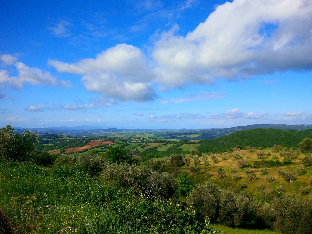Agriturismo San Giusto Montiano  Exterior photo